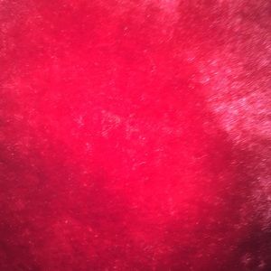 Meet your Posher, Ana